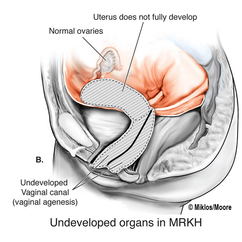 john mayer vagina